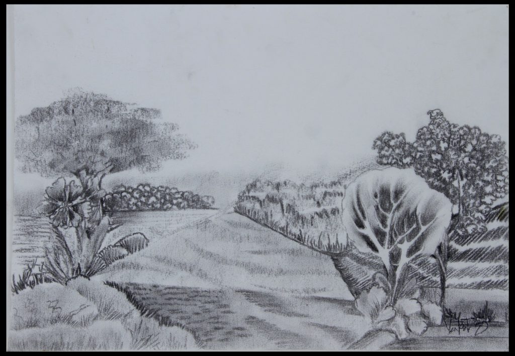 Seasons - 34 | Charcoal on paper | 12x16 inches